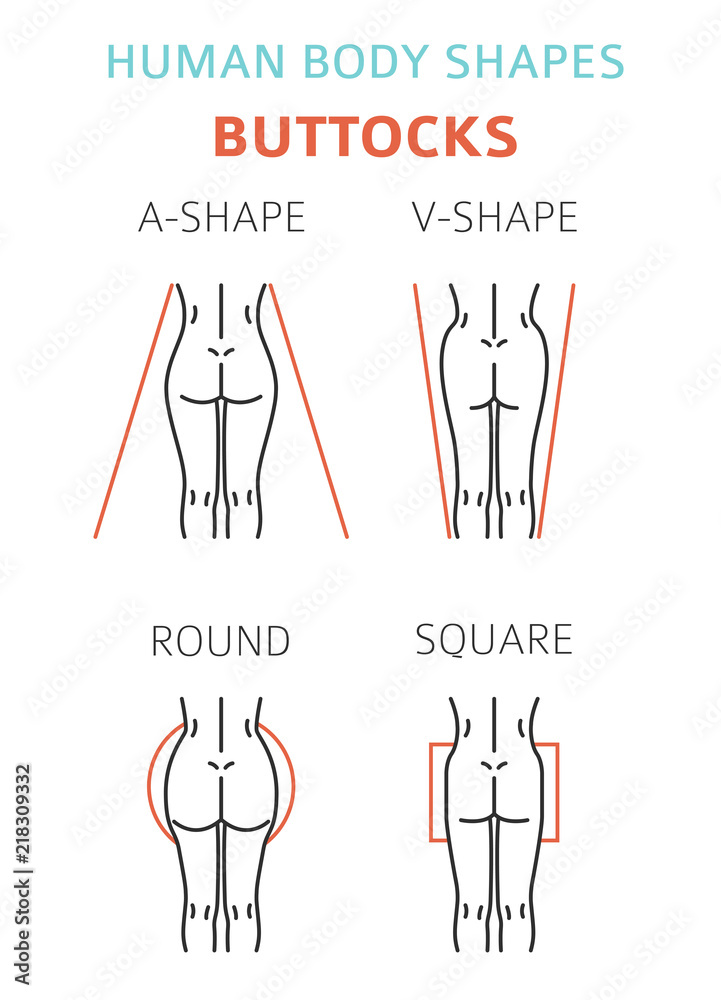 Human body shapes. Woman buttocks types set Stock Vector | Adobe Stock