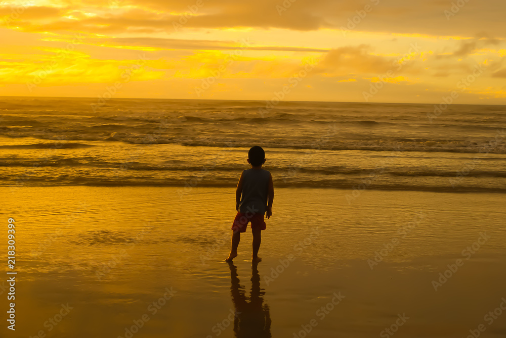 Naklejka premium SONY DSC