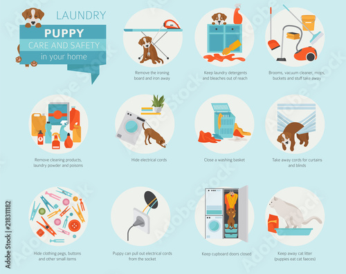 Puppy care and safety in your home. Laundry. Pet dog training infographic design