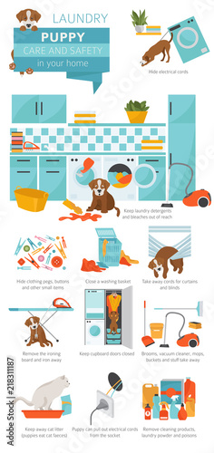Puppy care and safety in your home. Laundry. Pet dog training infographic design