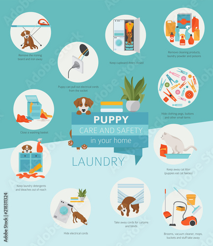 Puppy care and safety in your home. Laundry. Pet dog training infographic design