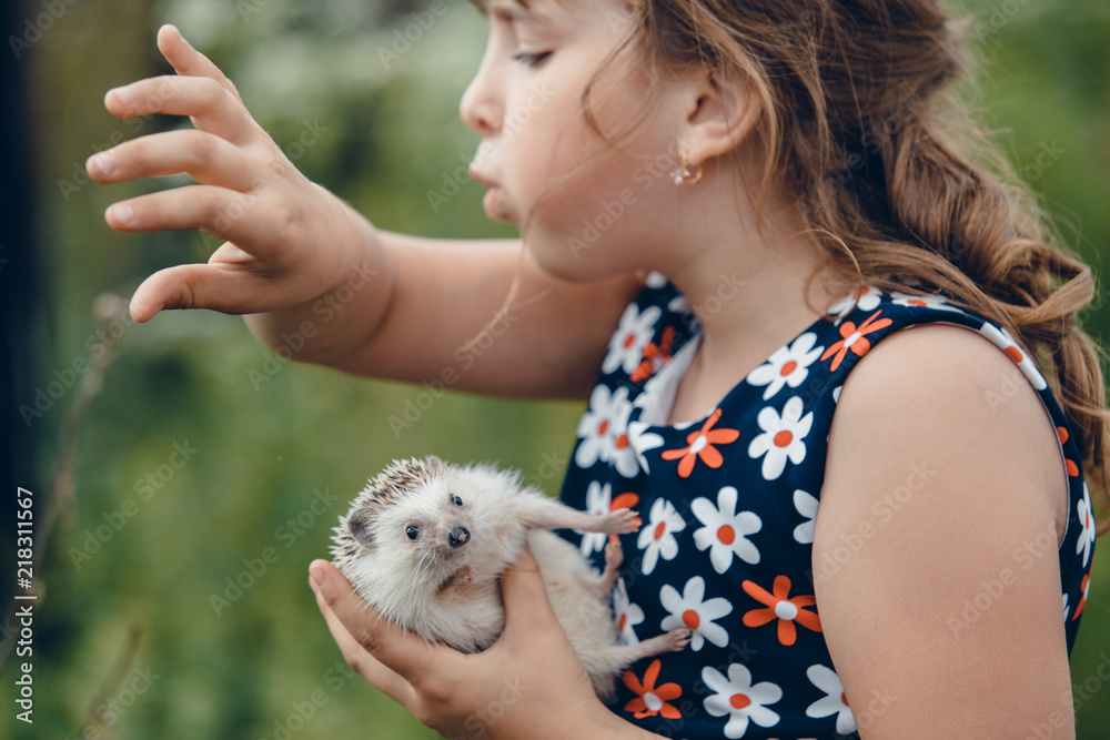 little girl pricked herself on a gray prickly hedgehog little girl pricked herself on a gray prickly hedgehog