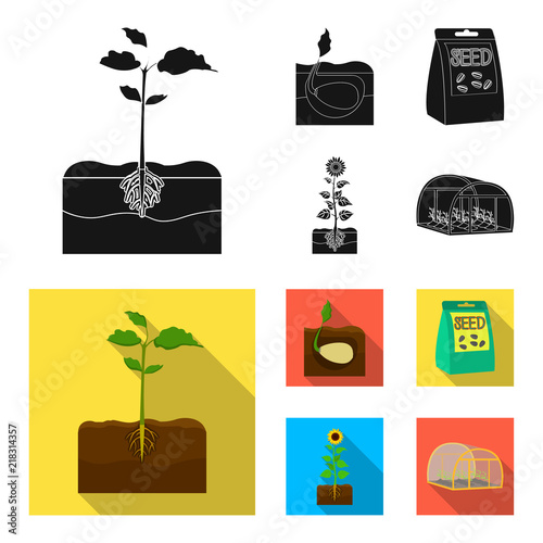 Company, ecology, and other web icon in black,flat style. Husks, fines, garden icons in set collection.