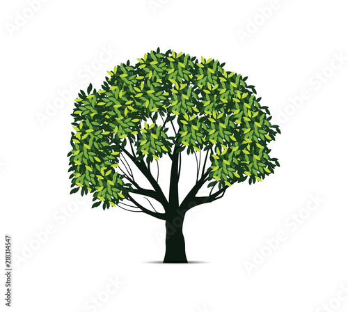Realistic design of tree illustration