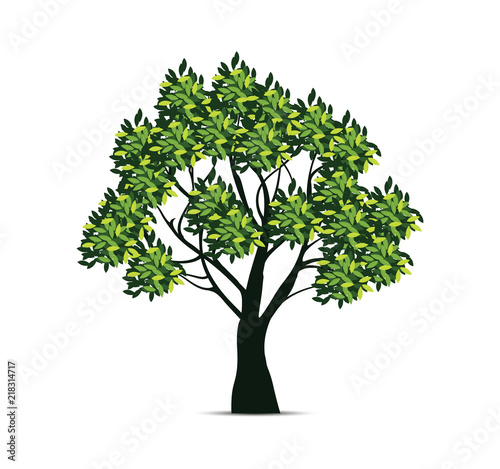 Realistic design of tree illustration