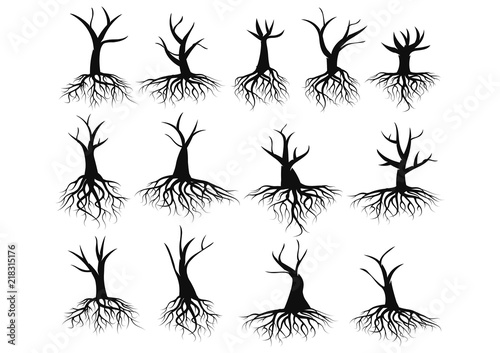 Vector illustration   Tree Roots in white background