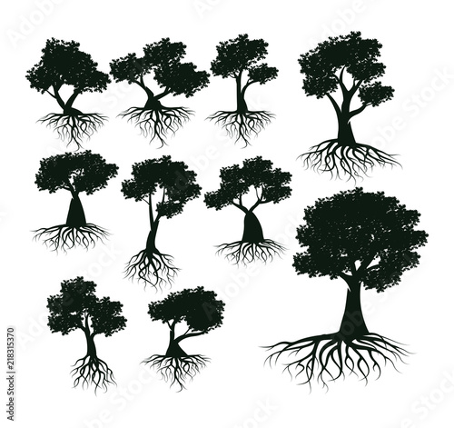 Vector illustration : Set Tree silhouettes in white background