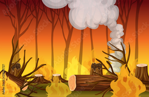 A forest wildfire disaster