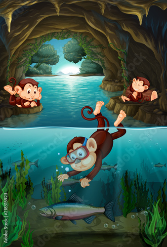 Monkey living in the cave