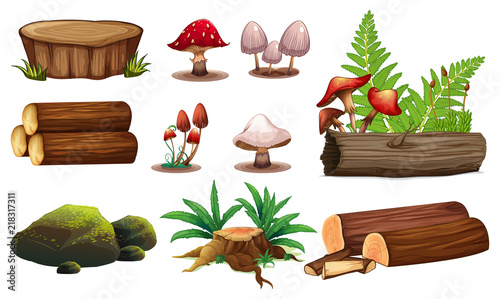 A set of wood element