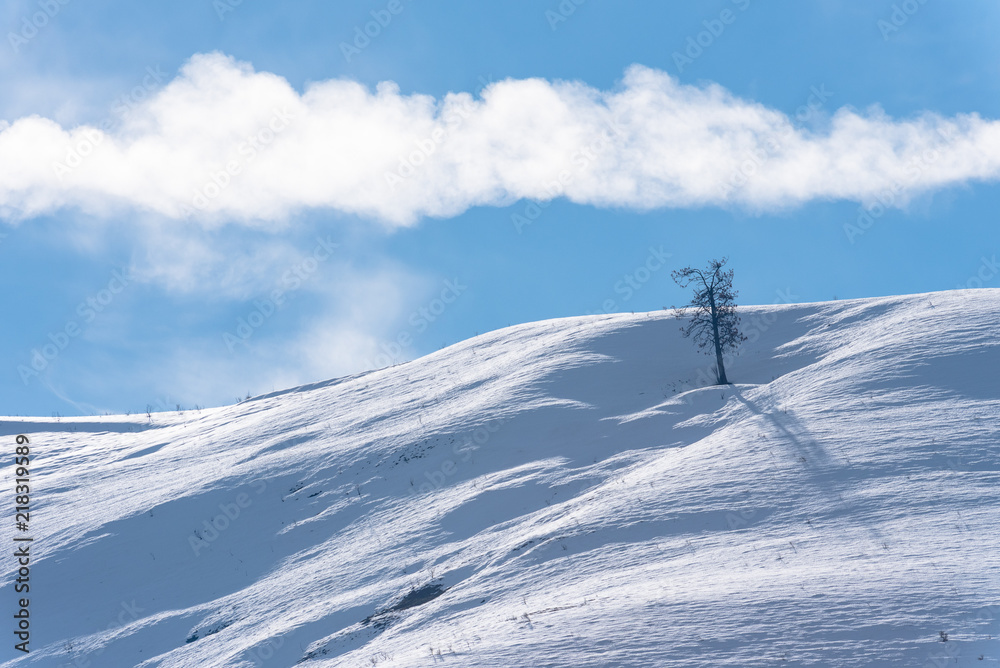 Snowy Mountain Ridge with Lone Tree