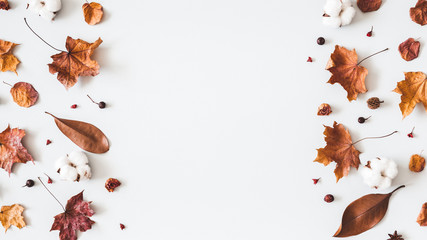 Autumn composition. Frame made of cotton flowers, dried maple leaves on pastel gray background. Autumn, fall concept. Flat lay, top view, copy space