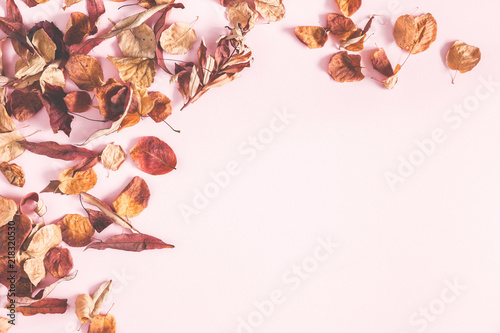 Autumn composition. Frame made of autumn flowers and leaves on pastel pink background. Flat lay, top view, copy space