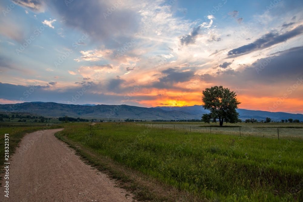 custom made wallpaper toronto digitalBeautiful sunset over the Rocky Mountains