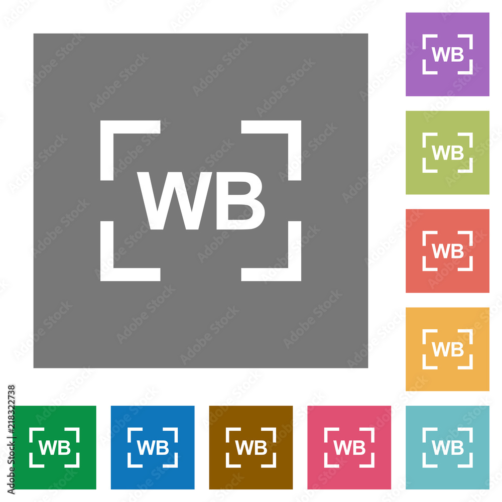 Camera white balance setting square flat icons Camera white balance setting square flat icons