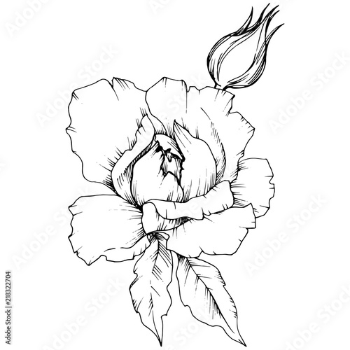 Rose flower in a vector style isolated. Full name of the plant: rose. Vector flower for background, texture, wrapper pattern, frame or border.