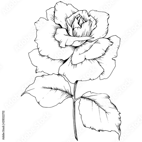 Rose flower in a vector style isolated. Full name of the plant: rose. Vector flower for background, texture, wrapper pattern, frame or border.