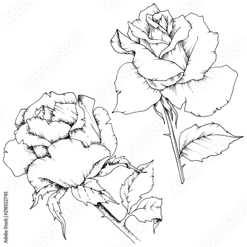 Rose flower in a vector style isolated. Full name of the plant: rose. Vector flower for background, texture, wrapper pattern, frame or border.