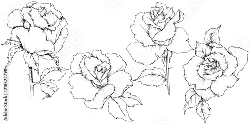 Rose flower in a vector style isolated. Full name of the plant: rose. Vector flower for background, texture, wrapper pattern, frame or border.