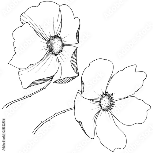 Wild rose in a vector style isolated. Full name of the plant: rose. Vector flower for background, texture, wrapper pattern, frame or border.