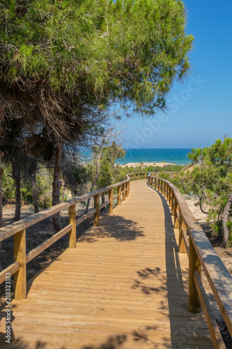 Broadwalk to a sand beach  trees  ocean and blue sky