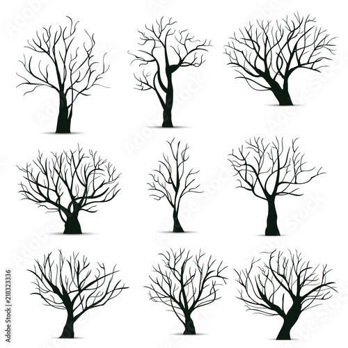 Vector illustration : Tree Roots in white background