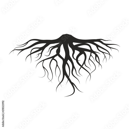 Vector Illustration   Roots design