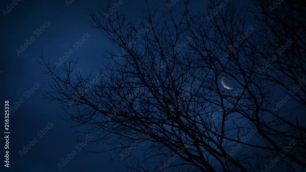 Crest moon moves through the clouds behind a bare silhouette tree. Crest moon moves through the clouds behind a bare silhouette tree.