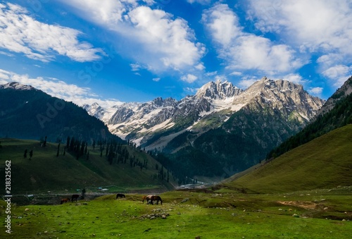 Beautiful mountain view of Sonamarg  Jammu and Kashmir state  India