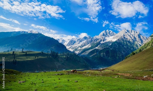 Beautiful mountain view of Sonamarg, Jammu and Kashmir state, India