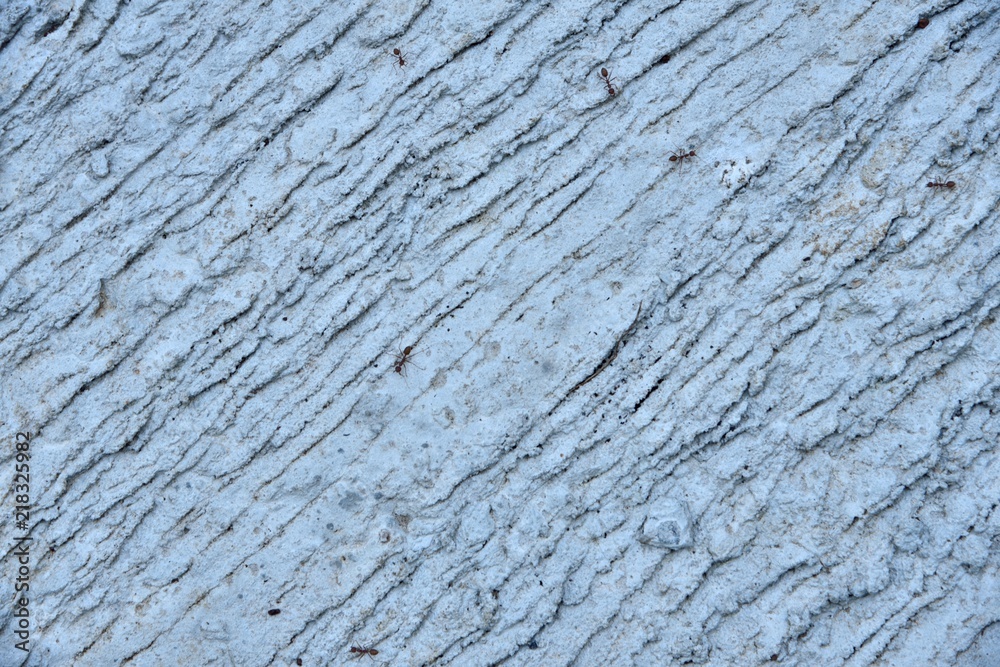 cement texture and background cement texture and background