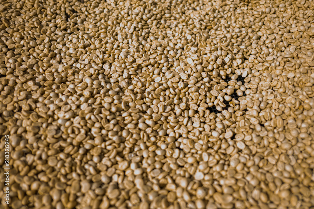 dry coffee seeds background dry coffee seeds background