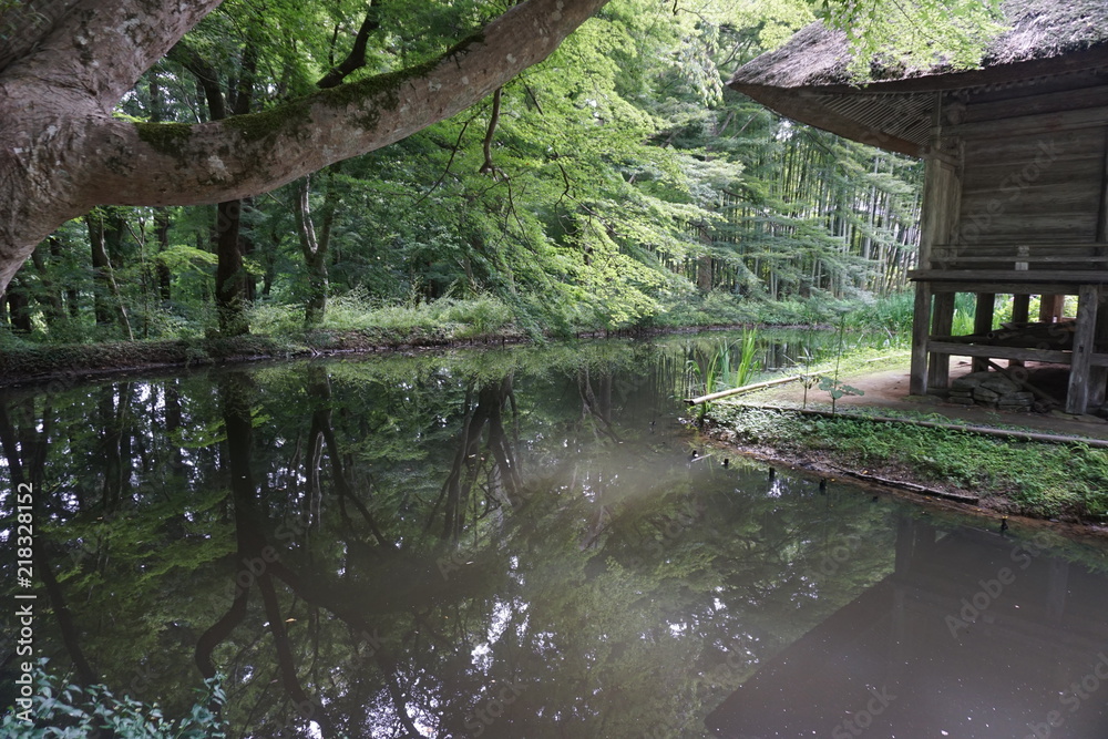 A temple and pond in forest