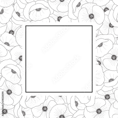 Fototapeta Naklejka Na Ścianę i Meble -  Corn Poppy Outline Banner Card