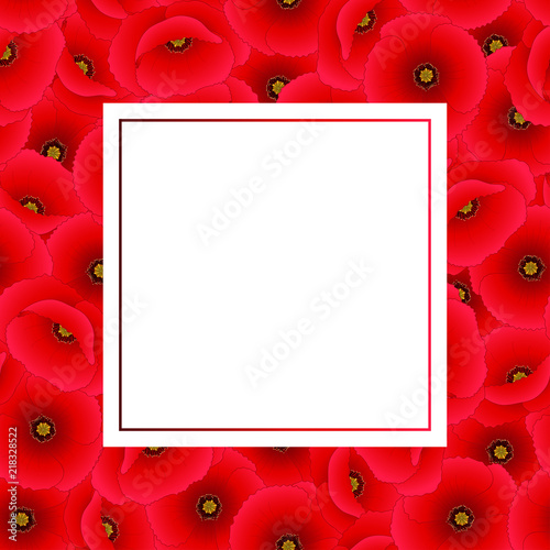 Fototapeta Naklejka Na Ścianę i Meble -  Red Corn Poppy Banner Card