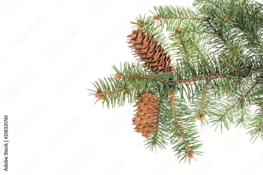 christmas tree branch with pine cone christmas tree branch with pine cone