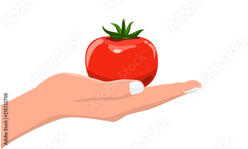 Hand holding fresh and organic vegetable tomato. Vector with Flat and solid color