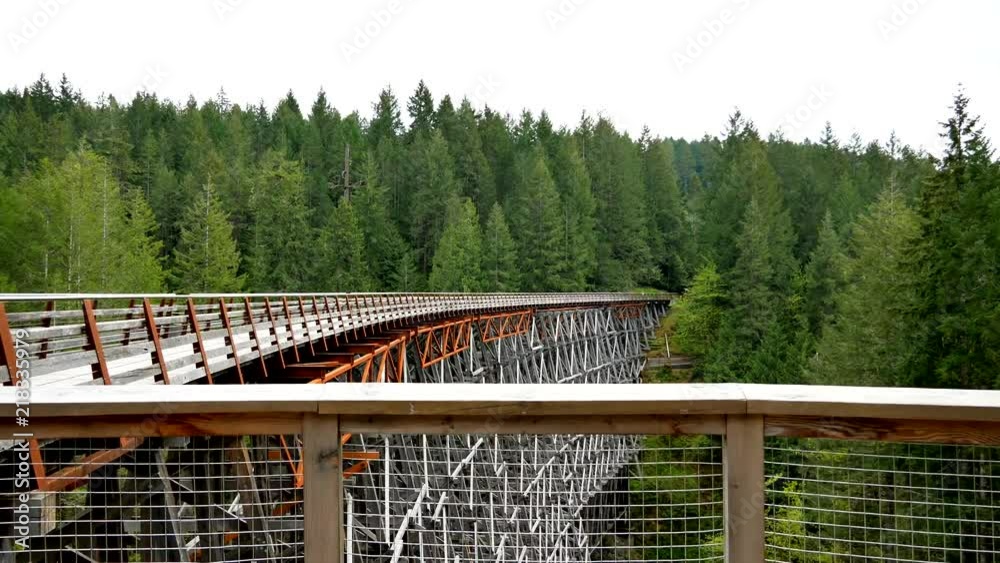 Victoria BC Canada | Kinsol Trestle Bridge on the Koksilah River Victoria BC Canada | Kinsol Trestle Bridge on the Koksilah River