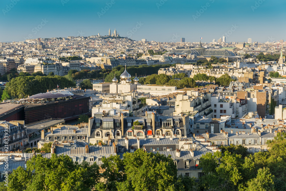 Paris aerial with the Russian Orthodox church, Grand Palais and Sacre Coeur