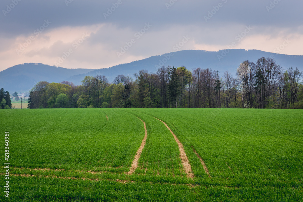 Road on a field near Frydek-Mistek town, Moravian-Silesian Region of Czech Republic