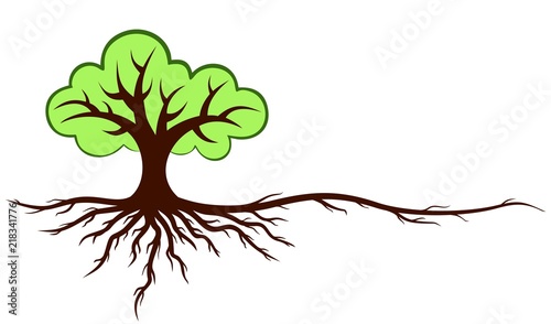 Green tree with roots.