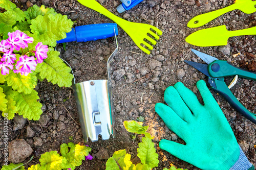 Gardening tools, shovel, spade, pruner, rake, glove, primrose flowers on soil background. Spring or summer in the garden, eco, nature, horticulture hobby concept background photo