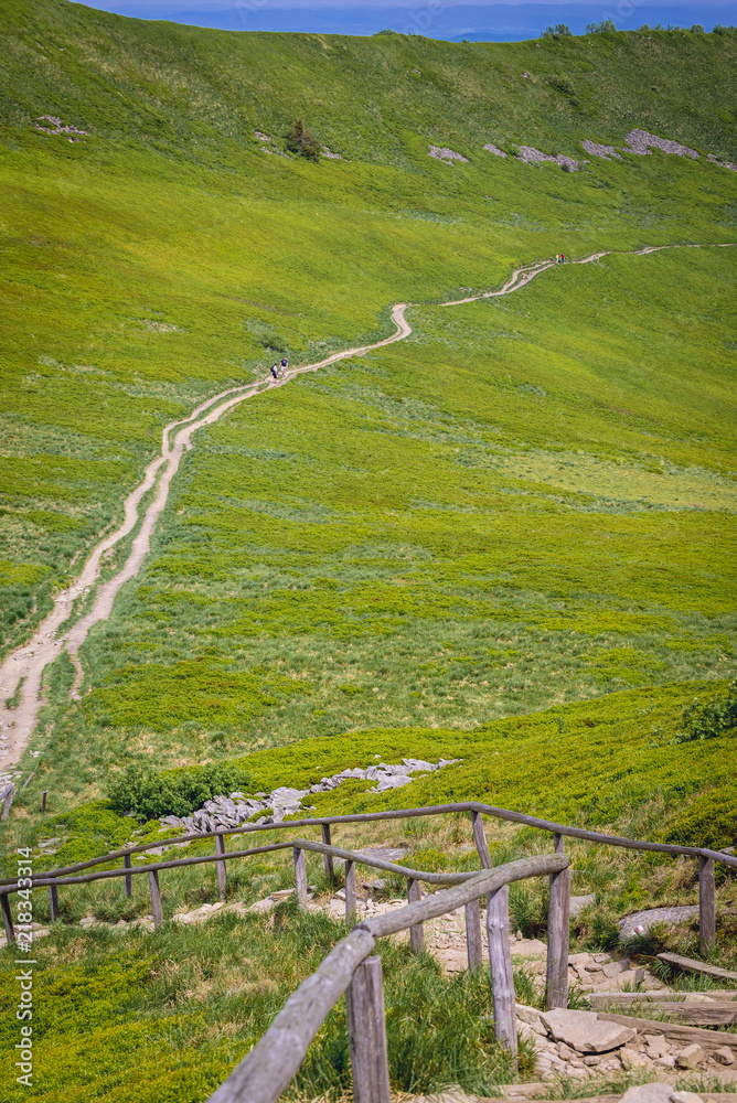 Fototapeta premium Path from Osadzki Wierch mountain in Bieszczady National Park, Subcarpathian Voivodeship of Poland