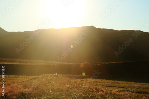 Sheep and the mountin in the sunlight