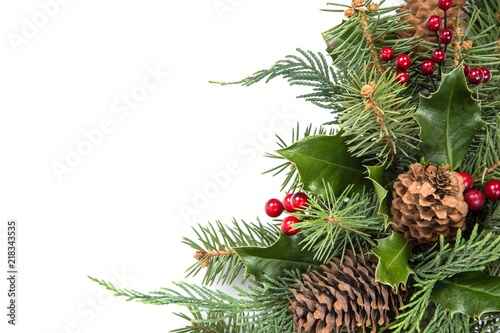 Christmas Tree Border