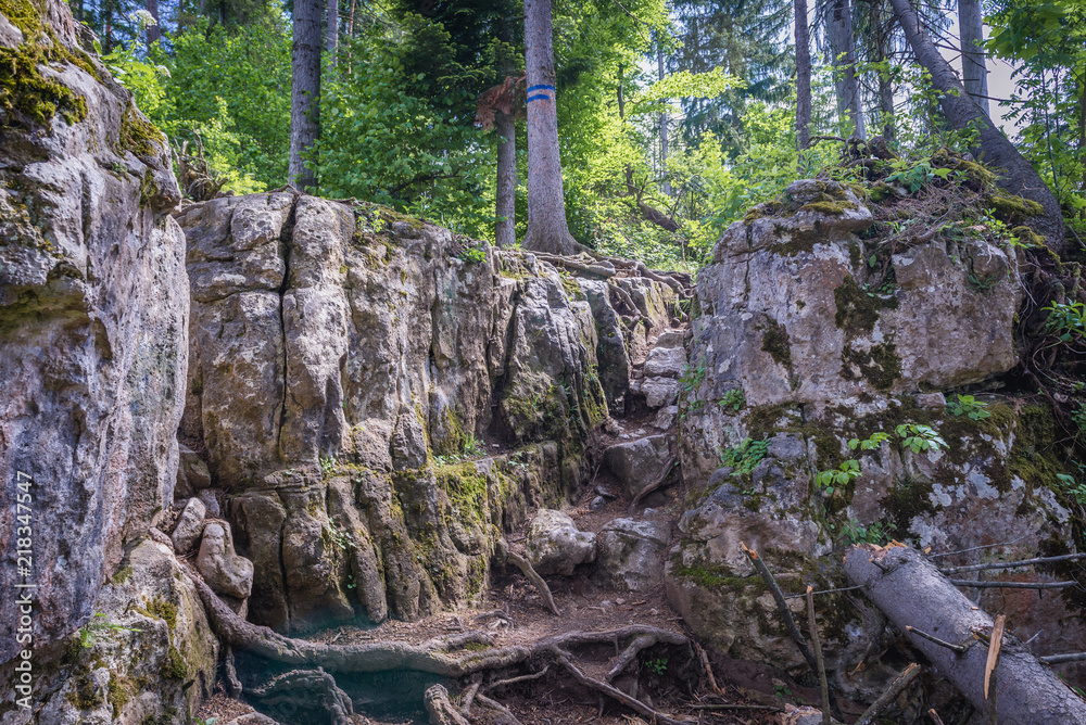 Fototapeta premium Tourist path to rock shelf known as Tomasovsky vyhlad in Slovak Paradise mountain range in Slovakia