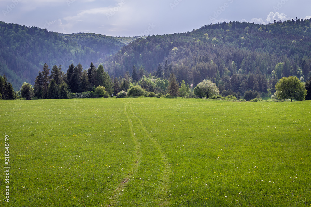 Meadow in Klastorisko in Slovak Paradise National Park in Slovakia