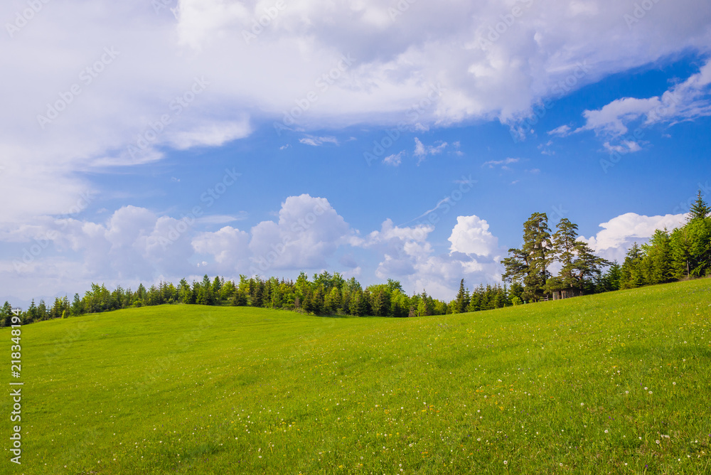 Meadow in Klastorisko in Slovak Paradise National Park in Slovakia Meadow in Klastorisko in Slovak Paradise National Park in Slovakia