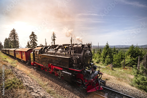 Steam locomotive driving through beautiful nature