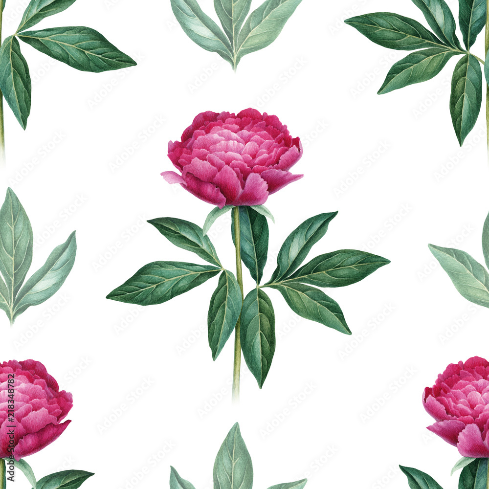 Fototapeta premium Watercolor peony flowers illustration. Seamless pattern